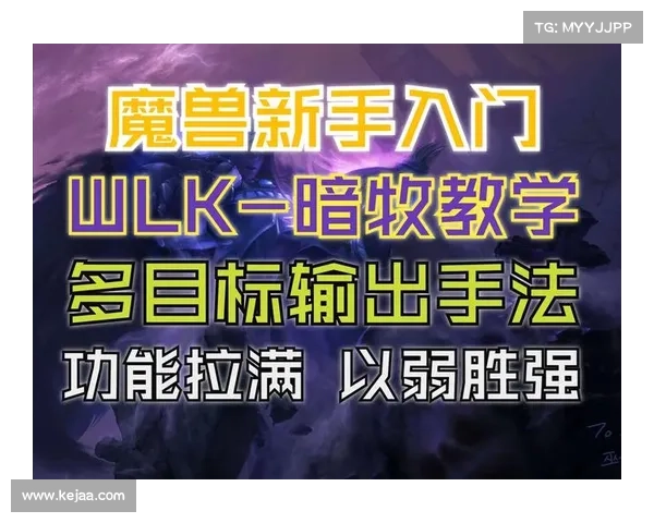 魔兽世界暗牧:高输出伤害秘籍 魔兽世界暗牧:高输出伤害秘籍